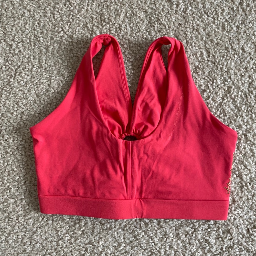 Whitney Simmons X Gymshark sports bra